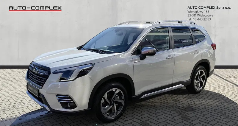 subaru forester małopolskie Subaru Forester cena 187500 przebieg: 10, rok produkcji 2023 z Chełm